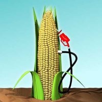 corn-ethanol-pump_100173153_m[1]