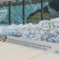 Plastic Bottles - Tree Hugger